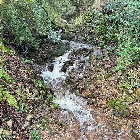 Casa vacanze Peep-o-day-the Stylish Dale View Feetham