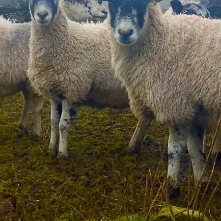 Peep-o-day-the Stylish Dale View Casa vacanze *